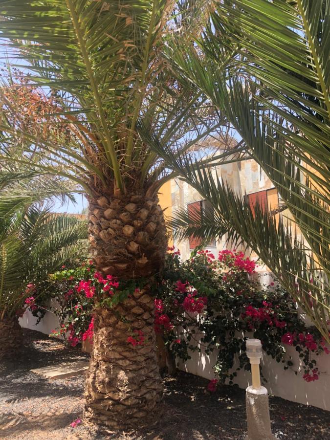 Apartamento Le Soleil De Fuerteventura Costa De Antigua Exterior foto